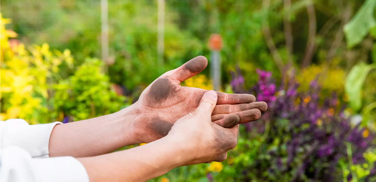 Gartenarbeit - Hände