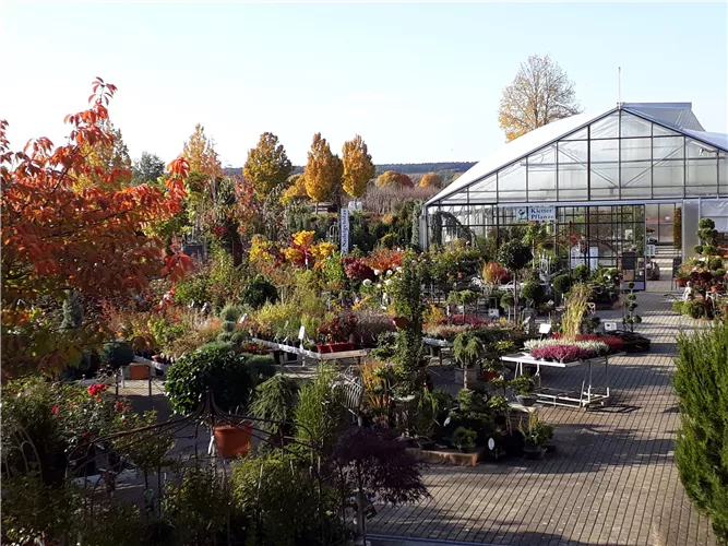 Es herbstet  Es herbstet