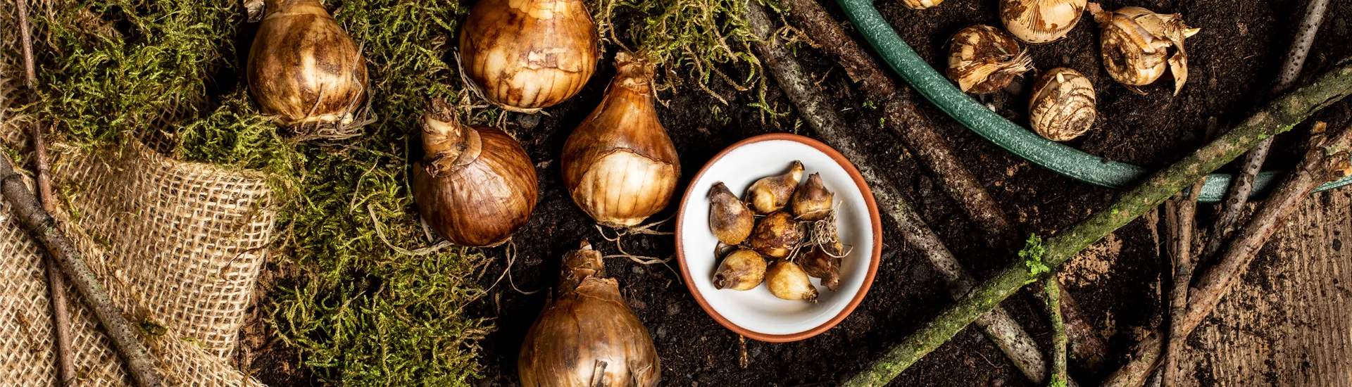 GS636746.jpg GS636746.jpg