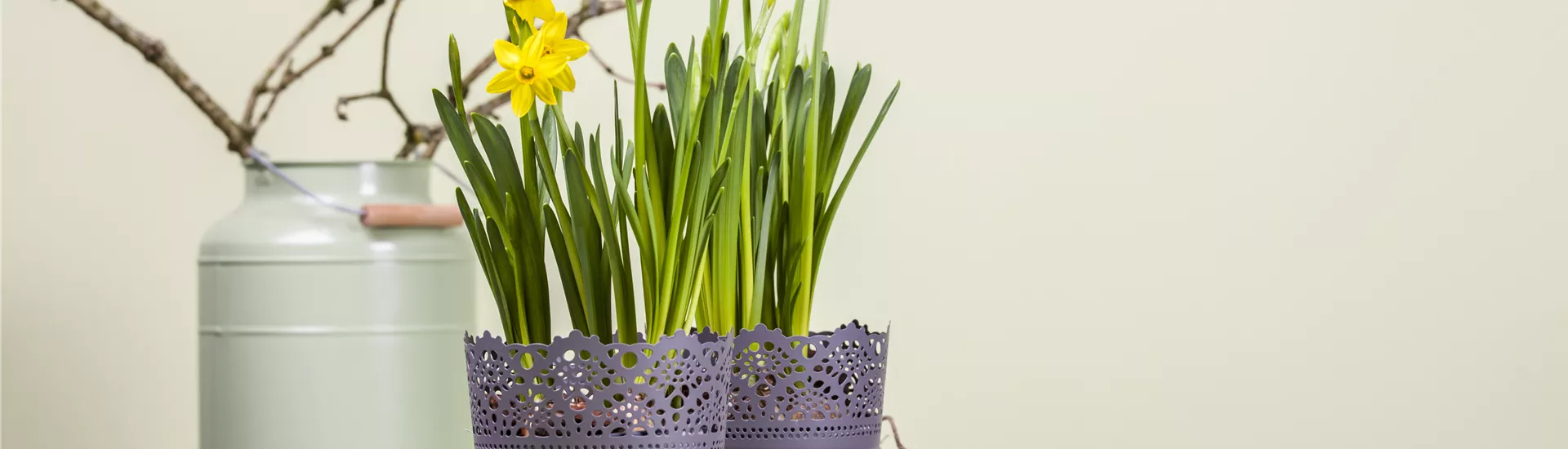 GS469978.jpg GS469978.jpg