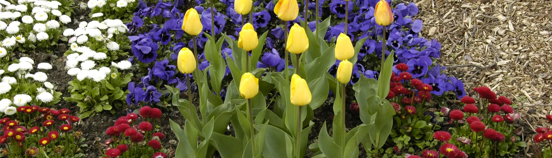 GS635956.jpg GS635956.jpg