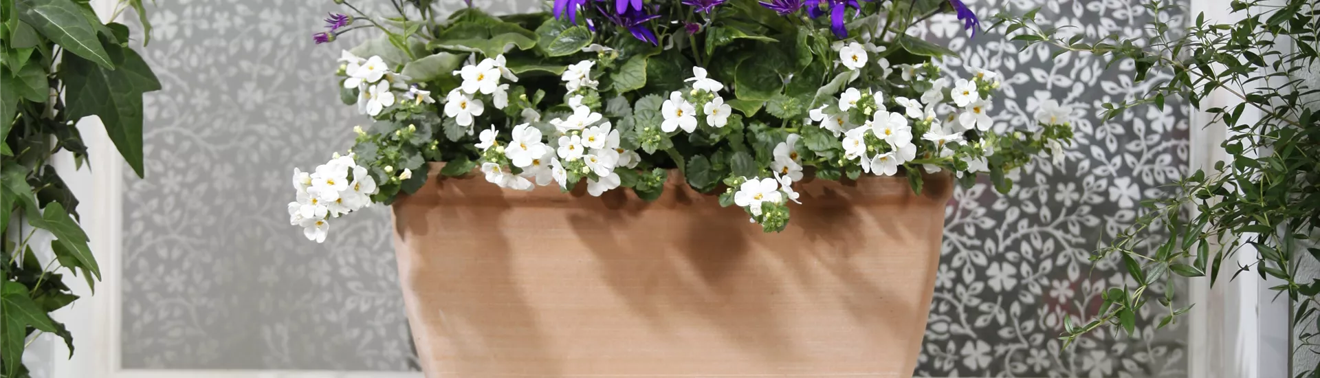 GS477872.jpg GS477872.jpg