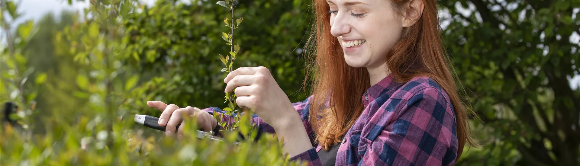 GS619547.jpg GS619547.jpg