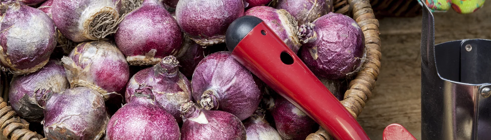 GS504653.jpg GS504653.jpg