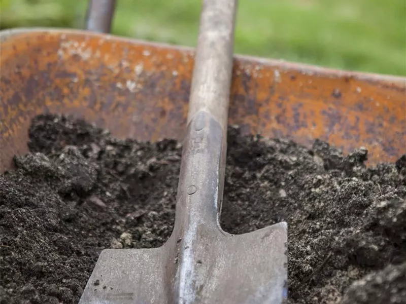 Gartenworkshop "Bodengesundheit"