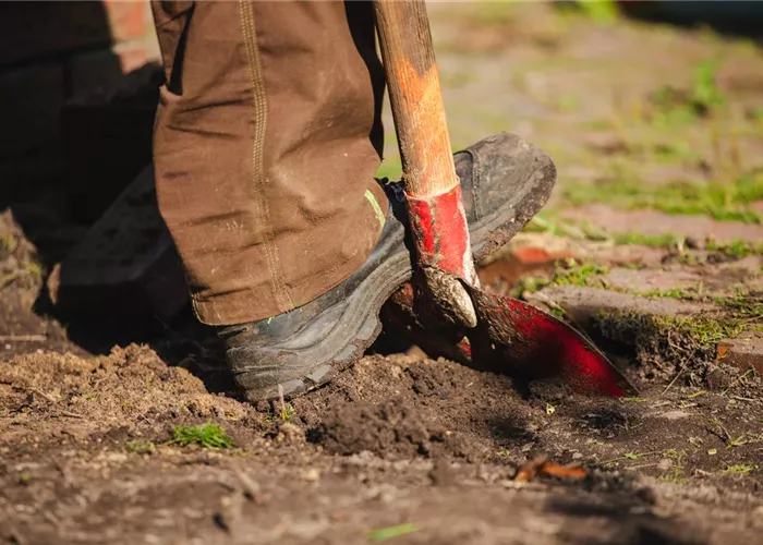 Dienstleistungen Dienstleistungen