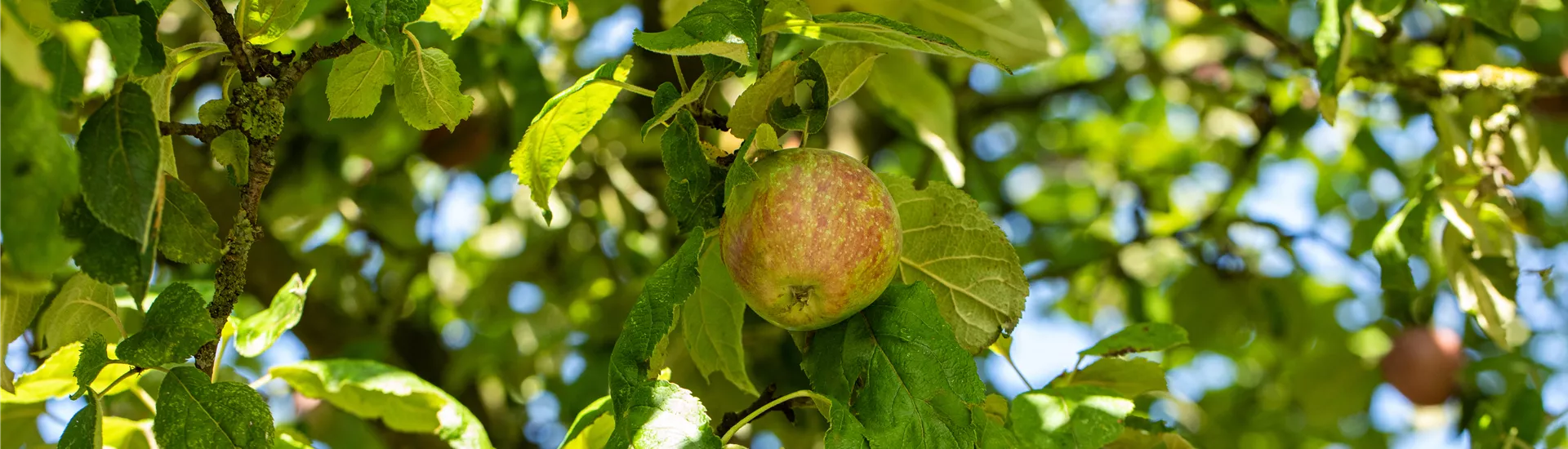 GS650472.jpg GS650472.jpg