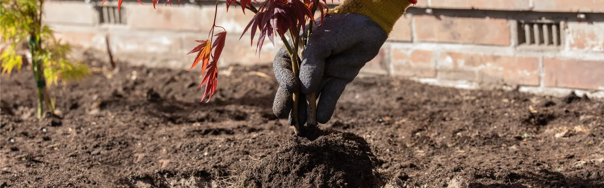 GS659482.jpg GS659482.jpg