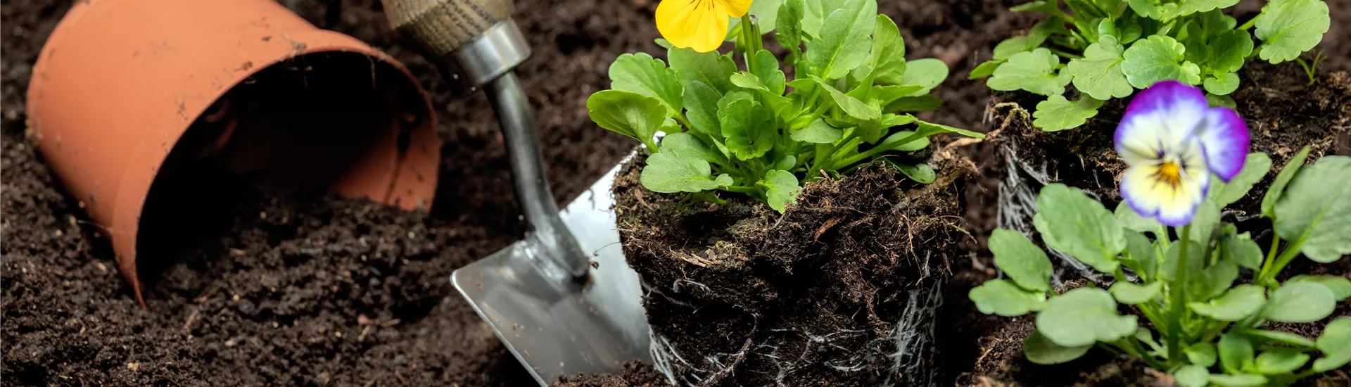 GS676076.jpg GS676076.jpg