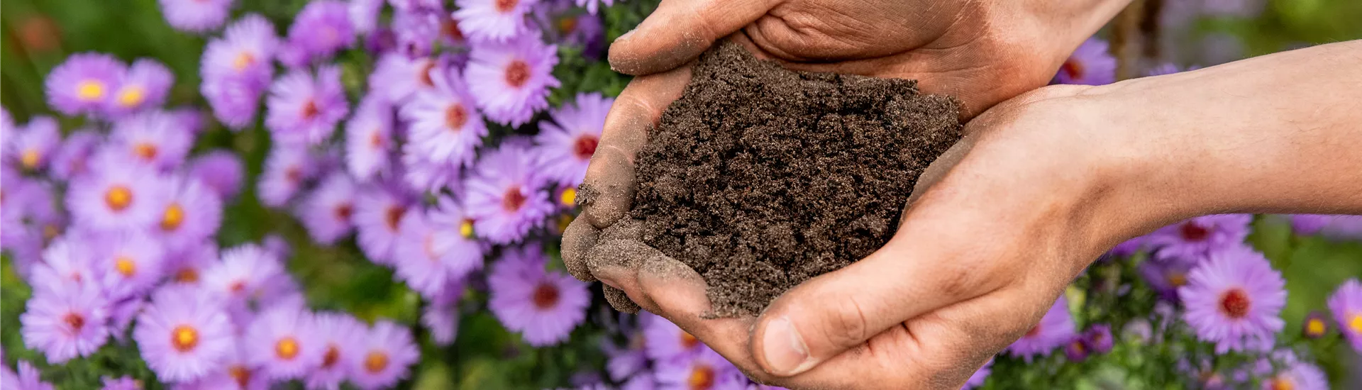 GS676149.jpg GS676149.jpg