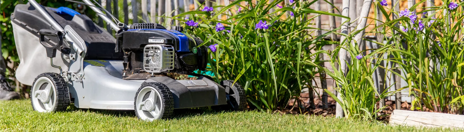 GS714505.jpg GS714505.jpg