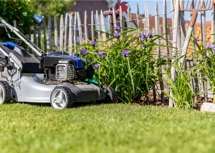 Rasenanlagen Rasenanlagen