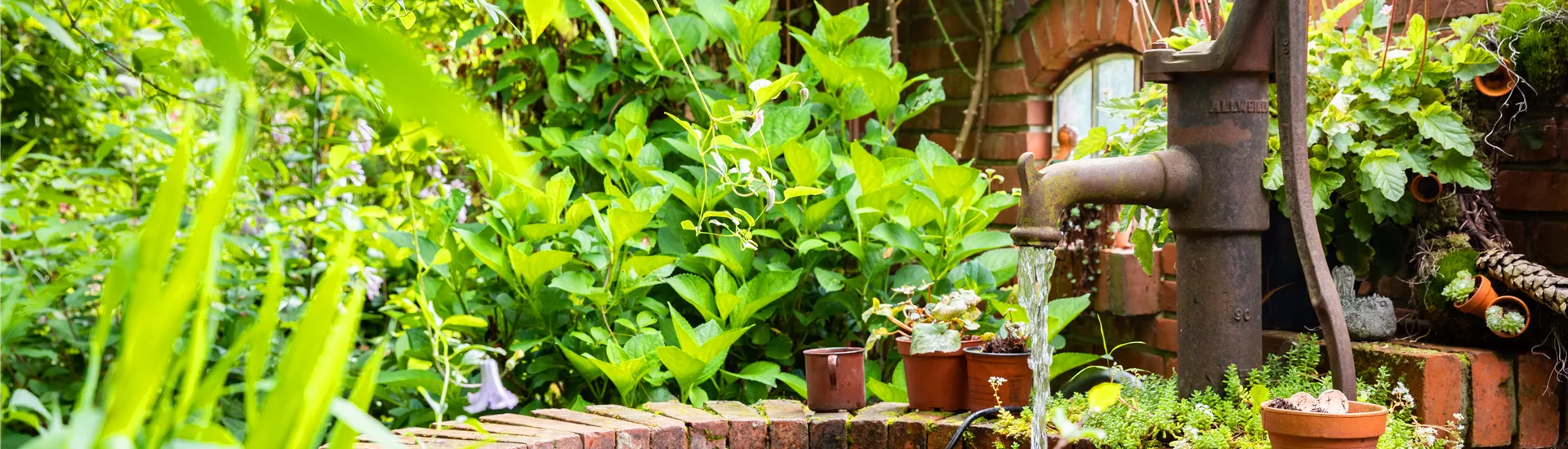 GS671950.jpg GS671950.jpg