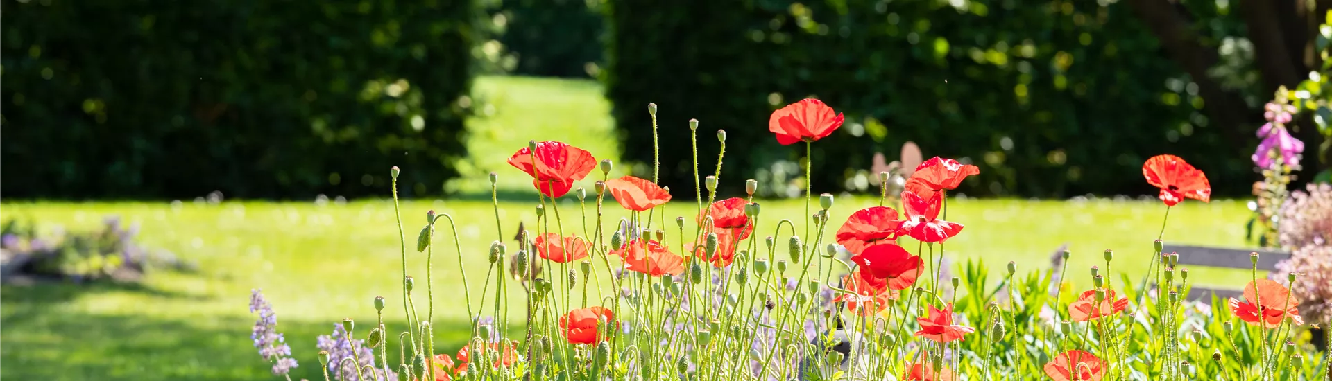 GS667473.jpg GS667473.jpg