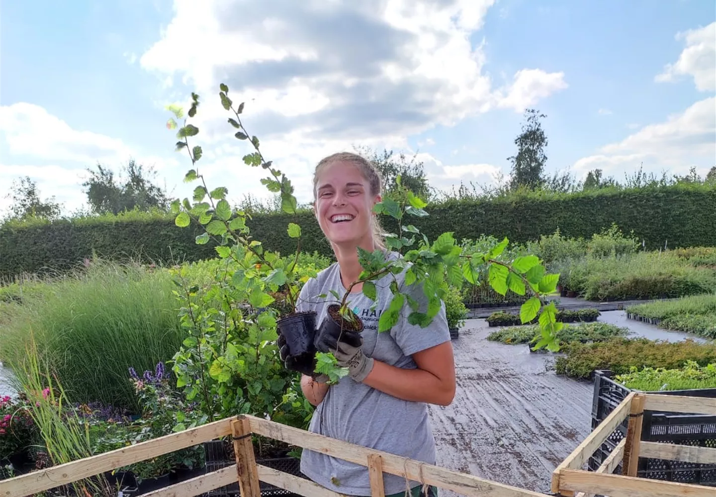 Wir bilden aus: nächster Ausbildungsbeginn 01. September 2026 Wir bilden aus: nächster Ausbildungsbeginn 01. September 2026