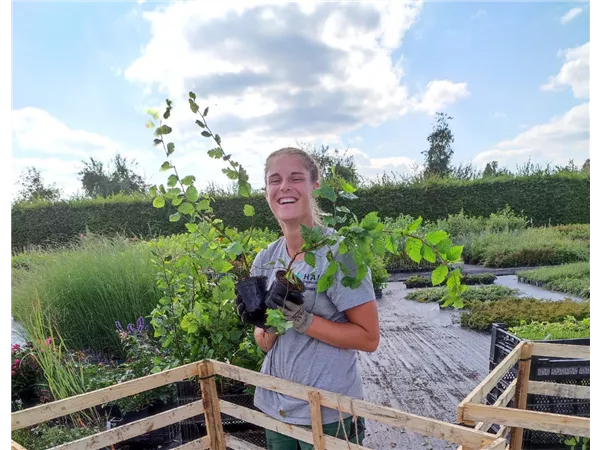 Wir bilden aus: nächster Ausbildungsbeginn 01. September 2026