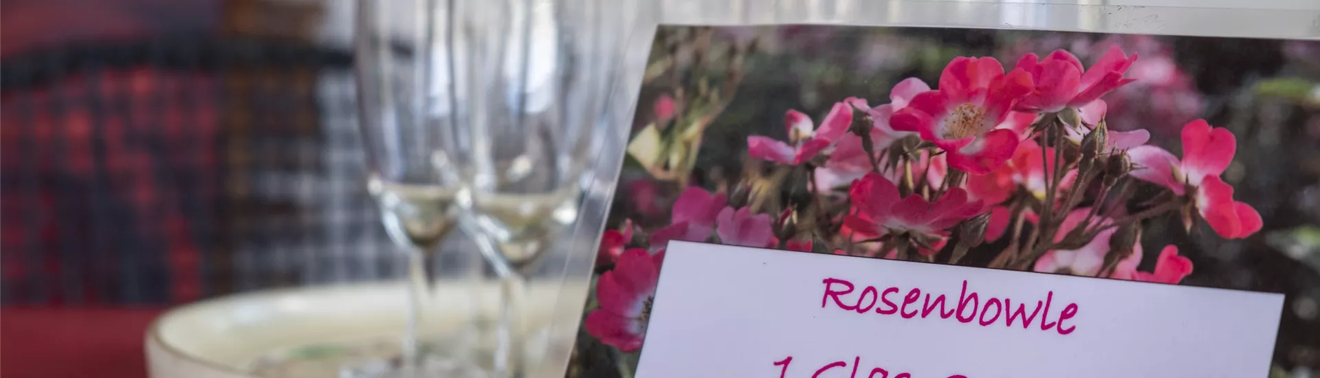 _DSF0410.jpg _DSF0410.jpg