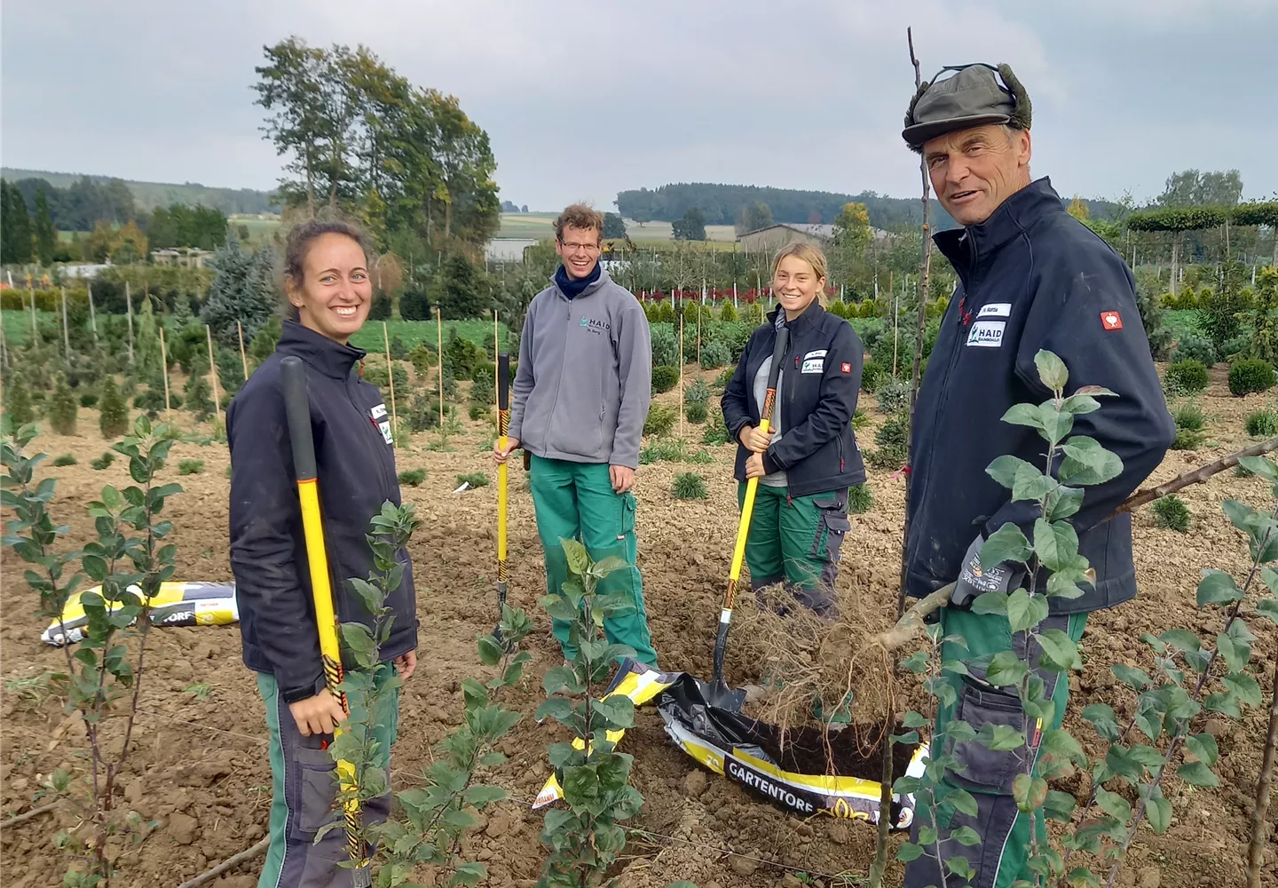 Gärtnermeister / Vorarbeiter/in für Pflanzenanzucht Gärtnermeister / Vorarbeiter/in für Pflanzenanzucht
