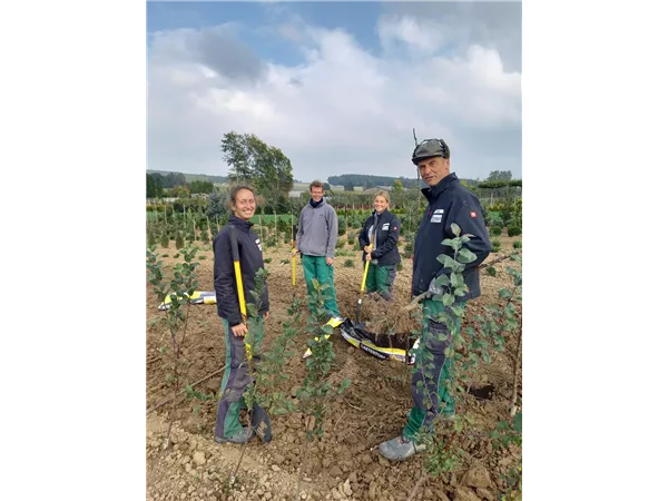 Gärtnermeister / Vorarbeiter/in für Pflanzenanzucht