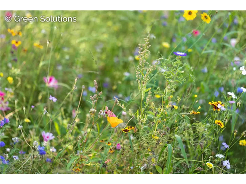 Gartenworkshop "Naturnah Gärtnern"