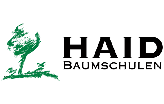 Rosa 'La Rose de Molinard' -R- STR VII