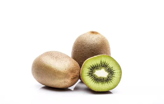 Actinidia chinensis 'Hayward'