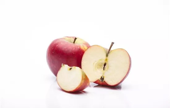 Malus 'Rubinola' -S- CAC Malus 'Rubinola' -S- CAC