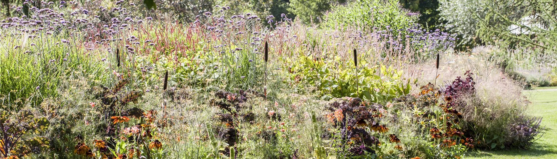 GS502887.jpg GS502887.jpg