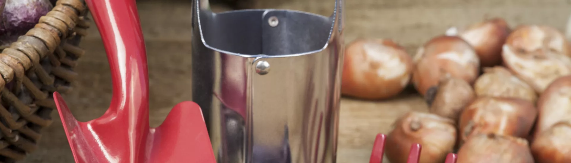 GS504652.jpg GS504652.jpg