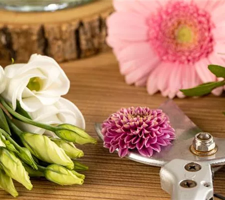 Schnittblumen - was hilft wirklich?