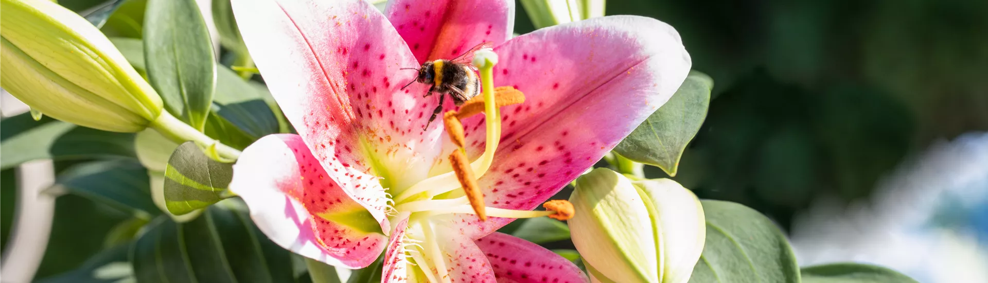 GS637479.jpg GS637479.jpg