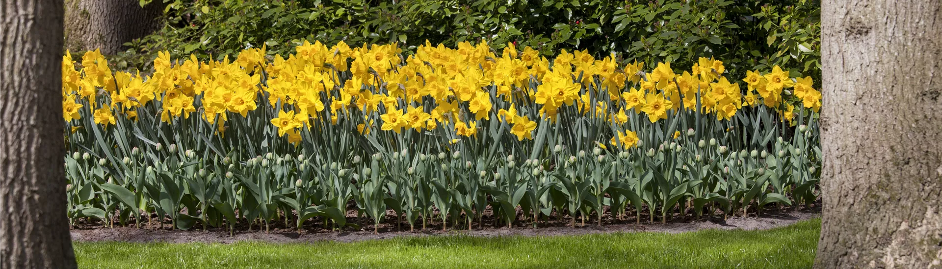 GS514600.jpg GS514600.jpg