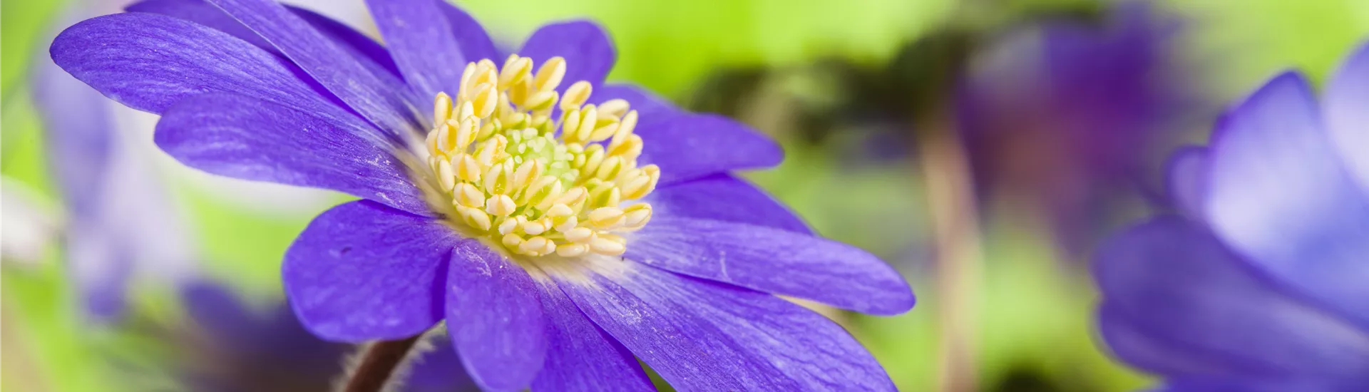 GS585651.jpg GS585651.jpg