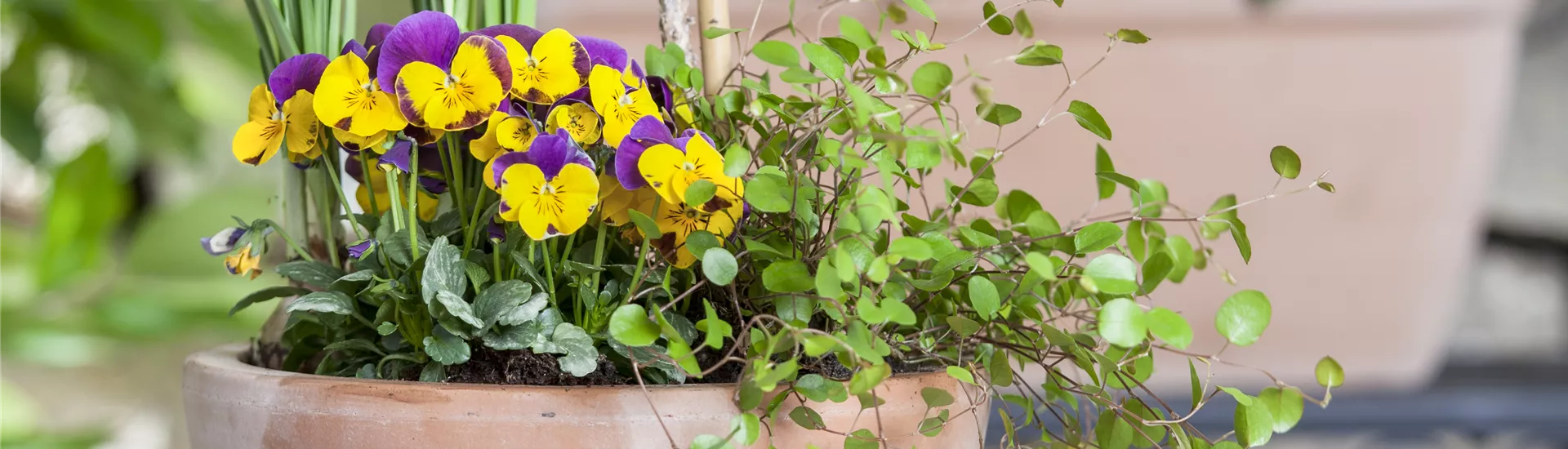 GS472371.jpg GS472371.jpg