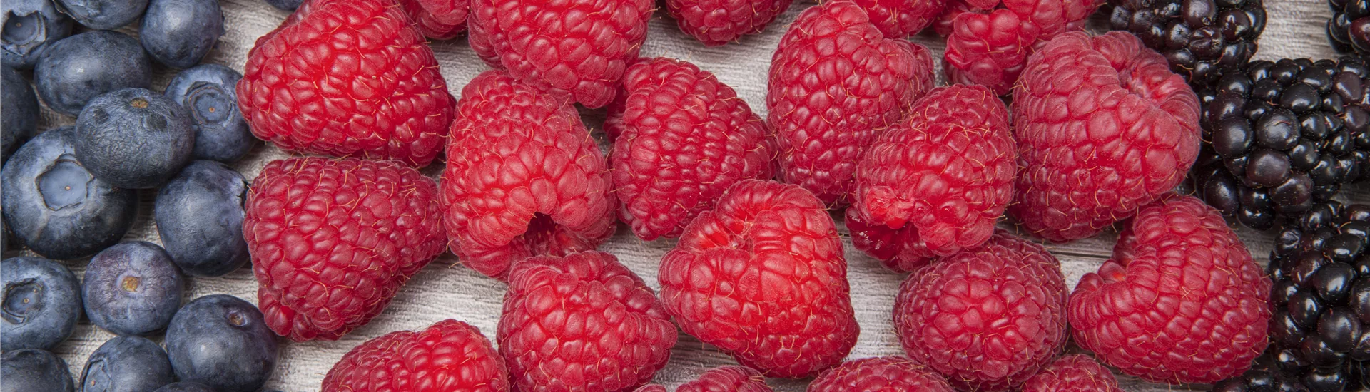 GS510183.jpg GS510183.jpg