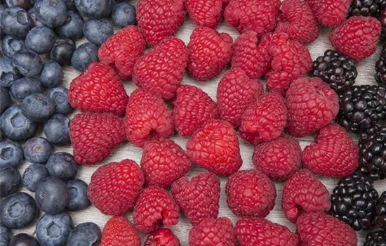 Beerenlust Beerenlust