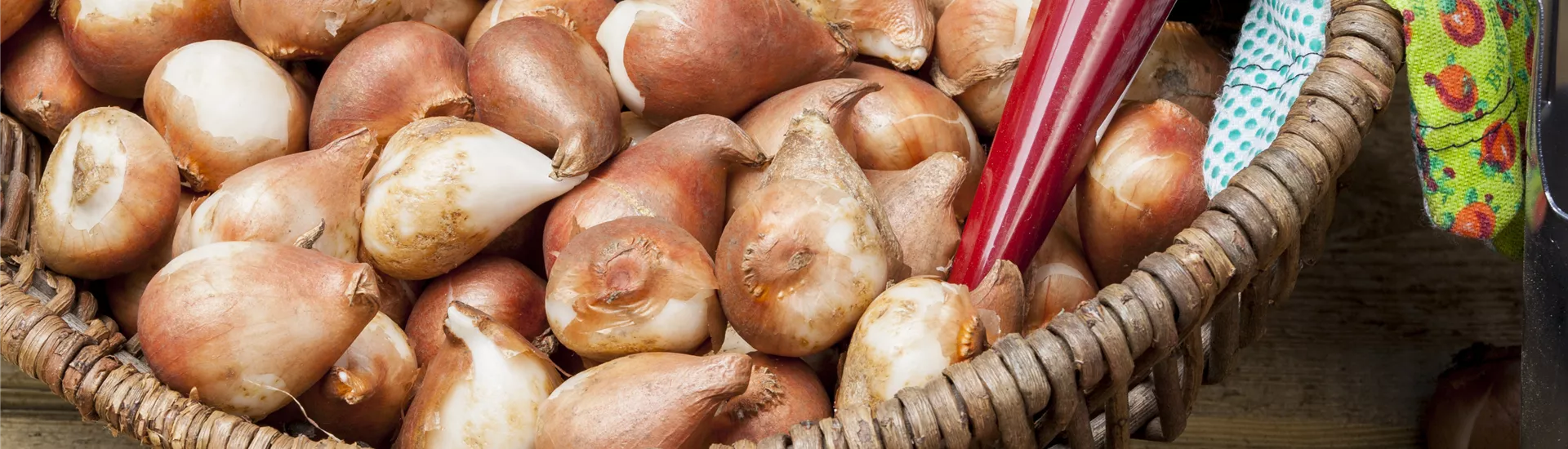 GS504654.jpg GS504654.jpg